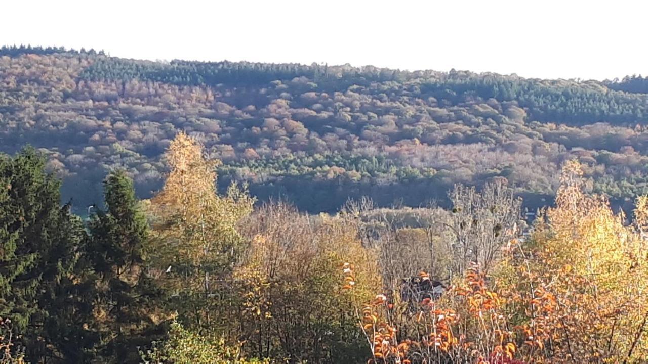 Le Coeur Sur La Main Hotell Namur Eksteriør bilde
